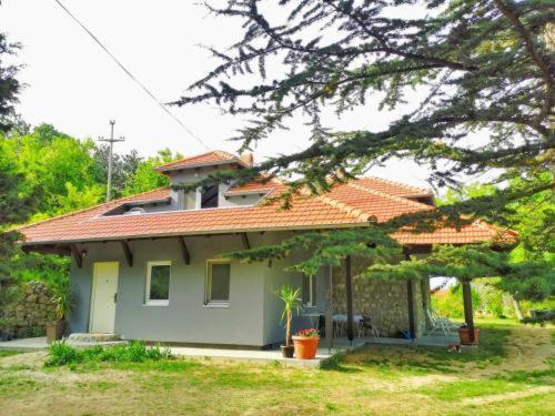 Kuca Za Odmor-Zelena Oaza Hotel Golubac Exterior foto